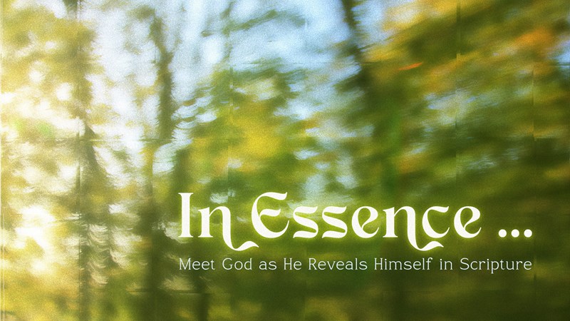 In Essence...