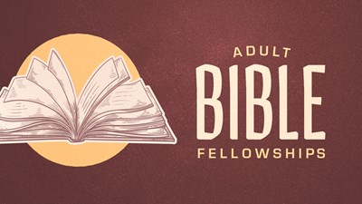 Adult Bible Fellowships