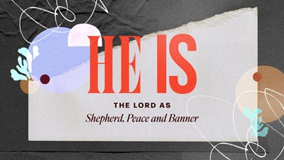 Women in the Word